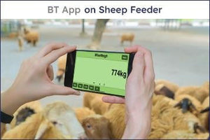 Bluetooth app control an actuator on a Sheep feeder