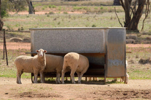 Feed Mix Bins Functions, Importance and Specifications