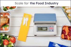11 Features to Look for in a Scale for the Food Industry