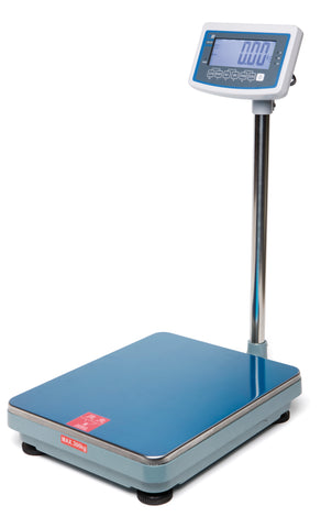 MP4252 - Platform Scale